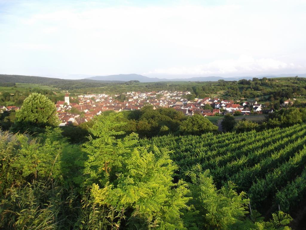 Ferienwohnung Feist Malterdingen エクステリア 写真
